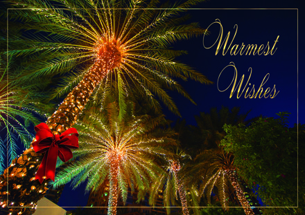 Tropical Wishes Holiday Cards